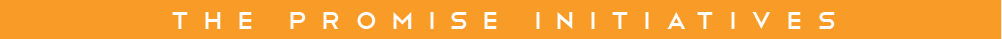 the promise foundation mission